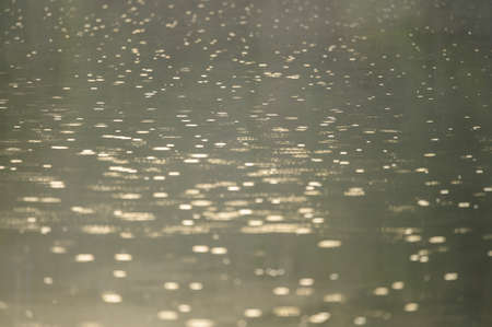 Highlights in the water of a river. Highlight dots. Warm light. Background image. Shallow depth of fieldの写真素材
