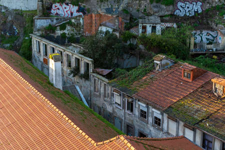 Ruins in Ribeira, with vegetation growing and graffiti. Seagull on the chimney. Porto, Portugalのeditorial素材