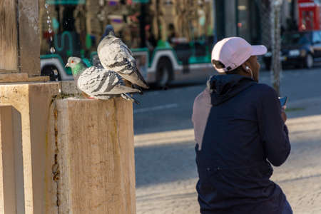 Porto, Portugal - 01/07/2020: Man with white cap using a smartphone while two pigeons take a bath in the fountain.のeditorial素材