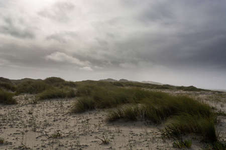 Storm in the dunes.Dunes with plants. Stormy clouds. Portugalの写真素材