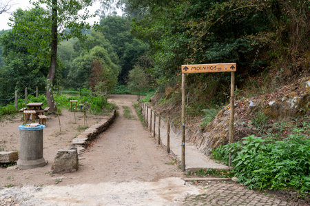 Small pond with water lilies. Jardins do PalÃ¡cio de Cristal (Cristal palace gardens). Urban garden. Porto, Portugal.の写真素材