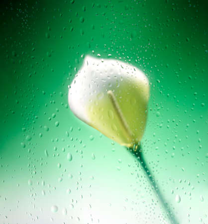 Flower behind dripping glassの写真素材