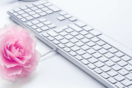 Rose and keyboard computer in a bright and glamorous ambience. Shallow depth of field. Focus on center of keyboardの写真素材