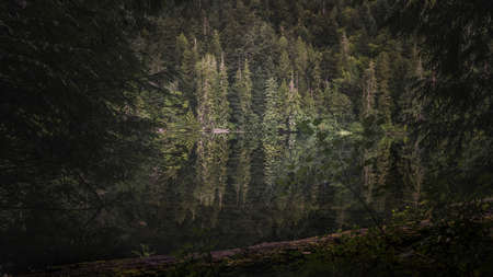Beautiful rain forests and beaches on Vancouver Island in British Columbia, Canada. This part of...