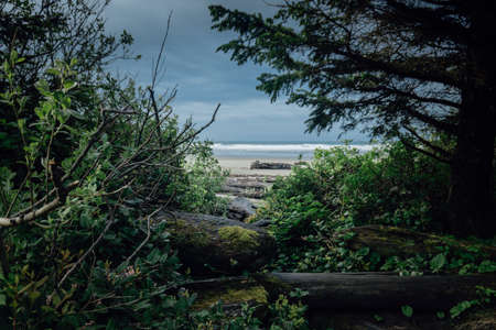 An exceptional location in a magical part of the world! Beautiful beach on Vancouver Island in Canadaの写真素材
