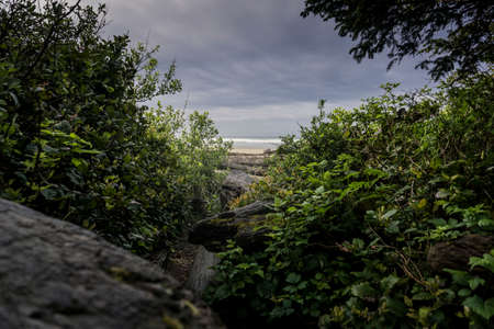 An exceptional location in a magical part of the world! Beautiful beach on Vancouver Island in Canadaの写真素材