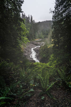 Elk Falls Provincial Park and Protected Area on Vancouver Island in Canadaの写真素材
