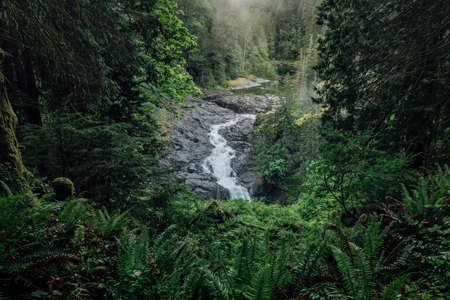 Elk Falls Provincial Park and Protected Area on Vancouver Island in Canadaの写真素材
