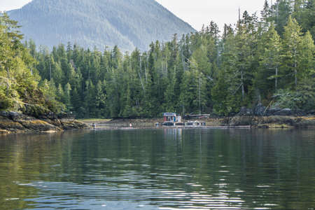 Forests, islands and mountains are making layers during sunshine in Tofino Canada.