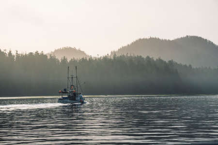 Forests, islands and mountains are making layers during sunshine in Tofino Canada.の写真素材