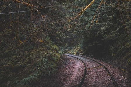 Goldstream railway trestle is located in Goldstream Provincial park in Canadaの写真素材