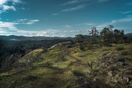 Beautiful view from the mountain above the Thetis lakes in Victoria Canada.の写真素材