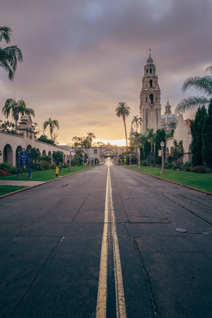 Early morning light casts a warm glow over a peaceful street in Balboa Park, showcasing palm trees and historic architecture.の写真素材