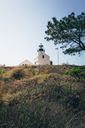 A historic lighthouse sits atop a grassy hill.の写真素材