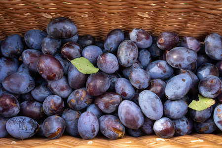 Fresh ripe plums in a basket