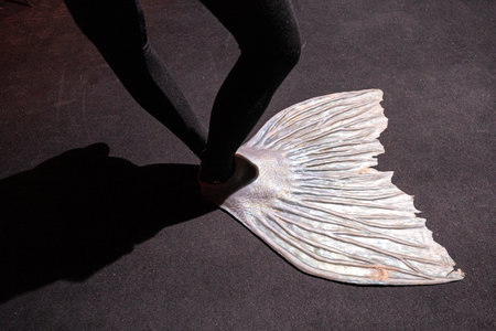 Part of mermaid costume with silver finの写真素材