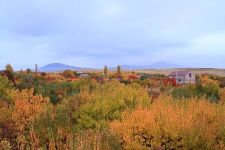 Panoramic view of bright yellow colored autumn trees in Armenian villageの写真素材