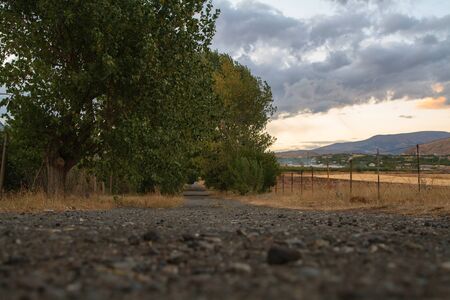 stony road through the fieldの写真素材