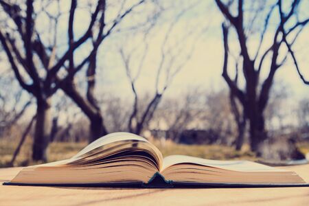 Open book in a sunny dayの写真素材