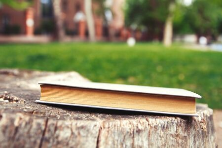 Closed book on a stone in parkの写真素材