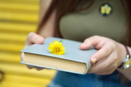 Girl's hands on a book with a yellow flowerの写真素材