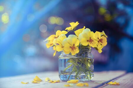 Yellow bouquet of flowers in glass potの写真素材
