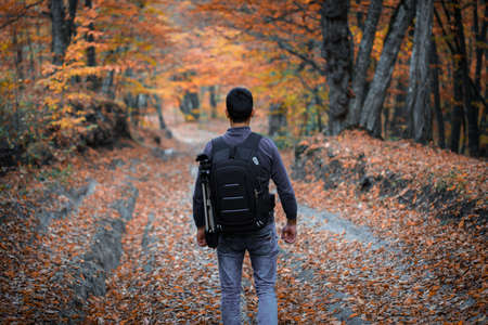 Man with backpack walks along autumn forest path strewn with yellow fallen leaves.の写真素材
