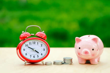 Clock with coins and piggy bank in natureの写真素材