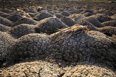 field holes in the field backgroundの写真素材