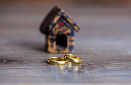 house model with rings on table