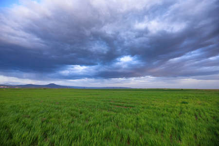 green field and beautiful abstract sky backgroundの写真素材