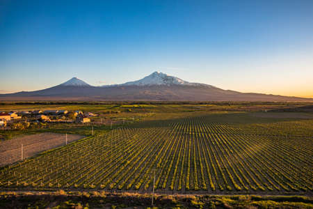 Ararat mountain and fields at the sunsetの写真素材