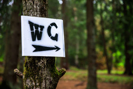 WC sign to the tree in natureの写真素材