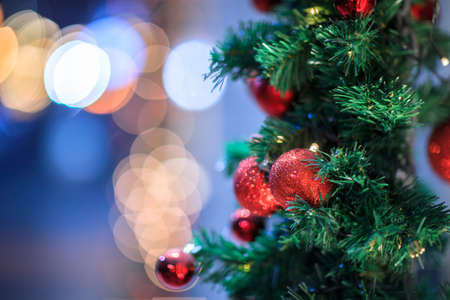 Christmas toys on fir tree on bokeh backgroundの写真素材
