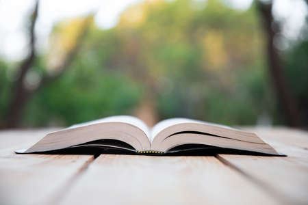 Open Holy Bible in nature backgroundの写真素材