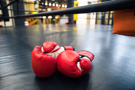 Pair of red leather boxing gloves on ringの写真素材