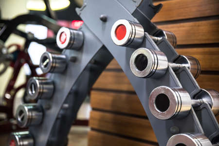 stand with dumbbells in gym
