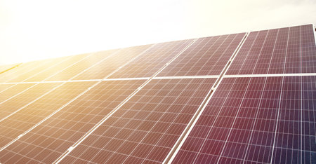 Solar panels in the field at sunset