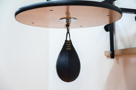 Boxing speed bag with a fist on white backgroundの写真素材