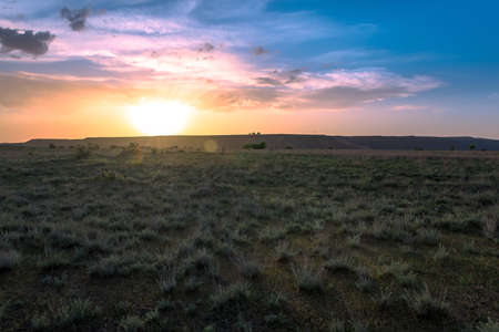 Agricultural field view during sunsetの写真素材