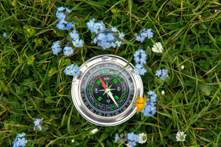 compass on blue flower and grass background