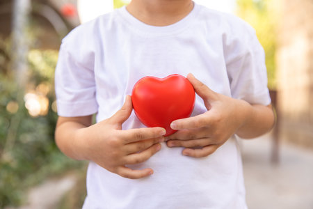 Child holding a red heart in his handの写真素材