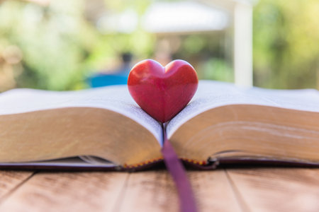 Open book and red heart on itの写真素材