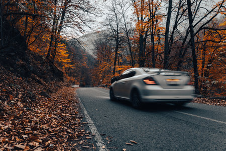 The car drives along the asphalt road through the autumn forestの写真素材
