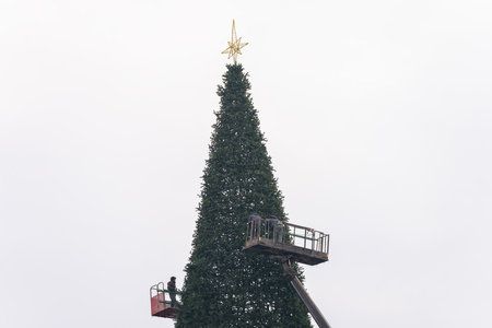 Crane workers preparing a big Christmas tree on a cloudy dayの写真素材