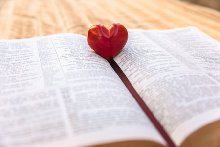 Open book and red heart on itの写真素材
