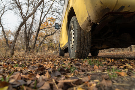 Old shabby car in the park in autumnの写真素材