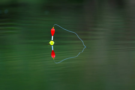 Float for fishing in the waterの写真素材