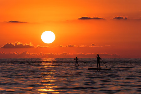 People surfing with a paddle in the sea at sunsetの写真素材