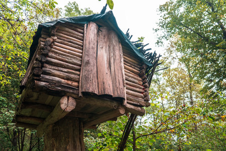 Small wooden tree house in desu